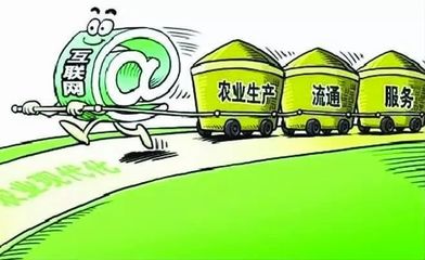 E如皋 以“互联网+长寿农产品”为引擎，赋能农业转型新发展
